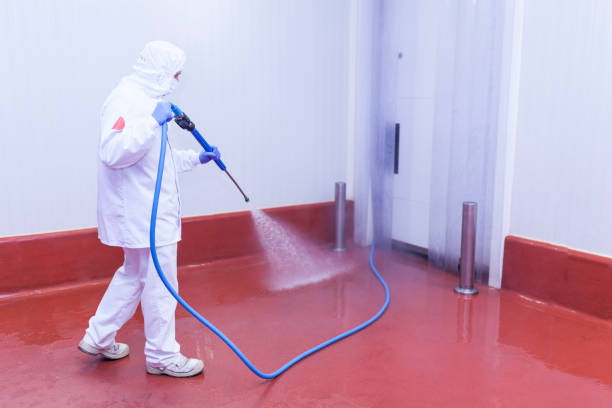 Trusted Willow Grove, PA Pressure Washing Services Experts